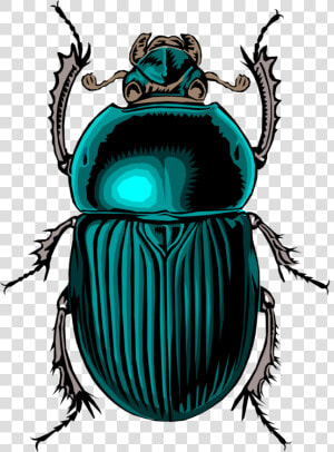 Beetle  Insect  Bug  Scarab  Stink  Dung  HD Png Download