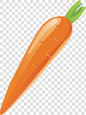 Carrot Vector Png Download   Transparent Carrot Vector Png  Png Download