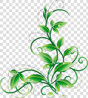 Floral Green Leaves And Water Droplets Png Clipart   Green Color Flower Design  Transparent Png