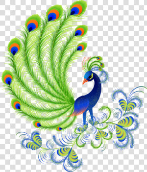 Peafowl Free Content   Beautiful Designs Of Peacock  HD Png Download