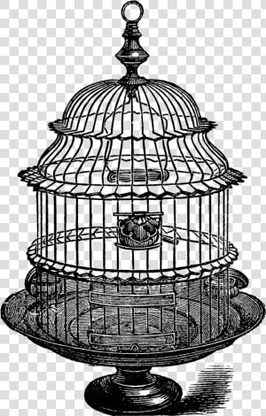 Transparent Birdcage Png   Vintage Bird Cage Clipart  Png Download