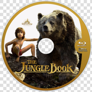 Explore More Images In The Movie Category   Jungle Book Png  Transparent Png