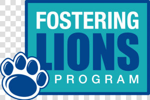 Fostering Lions Program   Evening With James Blunt  HD Png Download