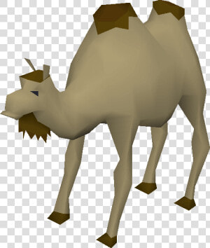 Clip Art Al The Old School   Old School Runescape Camel  HD Png Download