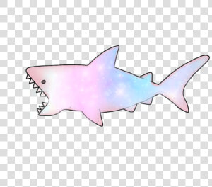  shark  galaxy  cute  ocean  HD Png Download