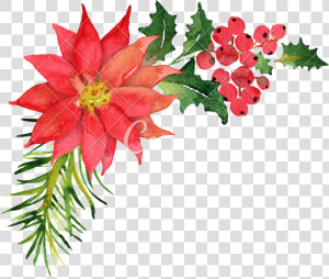 Christmas Bouquet Png   Poinsettia Christmas Wreath Watercolor  Transparent Png