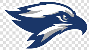 Maria Acosta  Veronika Boudova  Raytchelle Miranda    Broward College Seahawks Logo  HD Png Download