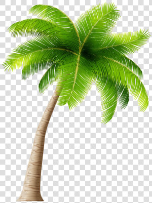 Coconut Tree Transparent   Transparent Background Coconut Tree Clip Art  HD Png Download