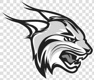 Lynx Png High quality Image   Rhodes College Lynx  Transparent Png