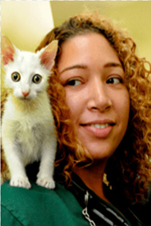 Doctor Christina East At Riverside Animal Hospital   Kitten  HD Png Download