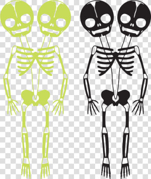 Skeletons  HD Png Download