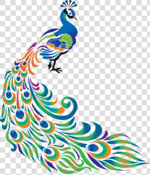 Peafowl Art Clip Transprent   Peacock Drawing Png  Transparent Png