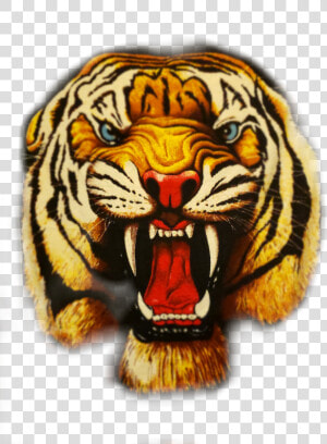 Transparent Roaring Tiger Clipart   Roaring Tiger Png  Png Download