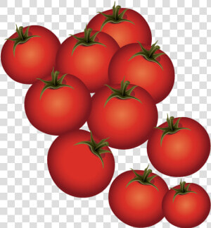 Plum Tomato Bush Tomato   Cherry Tomatoes  HD Png Download