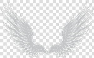 Transparent Angels Wings Png   Imagen De Alas Png  Png Download