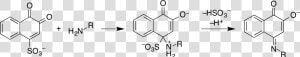 Folin Reaction   Folin Ciocalteu Reagent Reaction With Phenol  HD Png Download