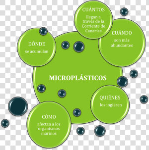 Objetivos Copia   Esquema De Los Microplasticos  HD Png Download