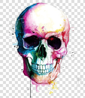 Color Calavera Painting Drawing Skull Free Download   Transparent Background Skull Png Hd  Png Download