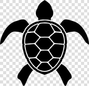 Turtle Silhouette Png   Sea Turtle Icon  Transparent Png