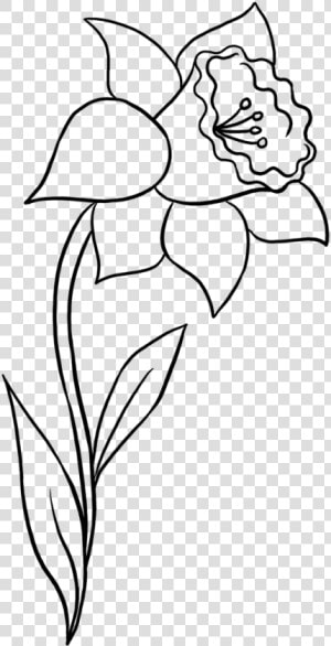 Clip Art Collection Of Free Daffodil   Simple Easy Daffodil Drawing  HD Png Download