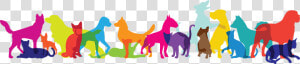 Multicolor Pets   Cartoon  HD Png Download