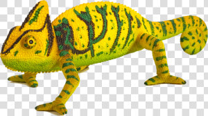 Chameleon Toy  HD Png Download