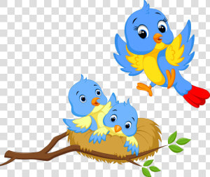 Bird Nest Png   Birds Nest Clipart Png  Transparent Png