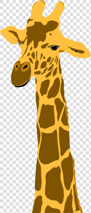 Giraffe Clipart Transparent Background   Transparent Background Giraffe Clipart  HD Png Download