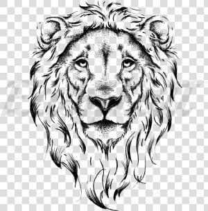 Lion Face   Outline Lion Face Drawing  HD Png Download