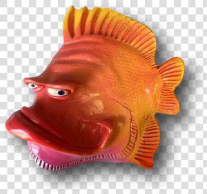 Garibaldi  fish   HD Png Download