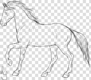 Mustang Horses Pony Line Art American Quarter Horse   Horse Png Line Art  Transparent Png