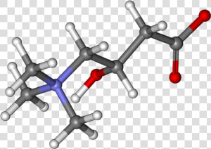 Carnitine Ball And Stick   L Carnitine Molecular Structure  HD Png Download