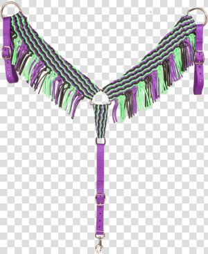 Mustang Nylon Braided Breast Collar With Fringe  Purple lime black   Panties  HD Png Download