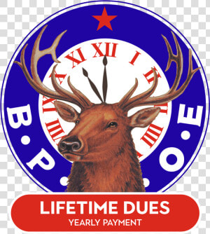 Elks Lodge Logo  HD Png Download