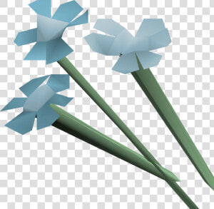 Osrs Flowers Png Transparent  Png Download