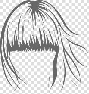 Transparent Bangs Png   Hair Vector  Png Download