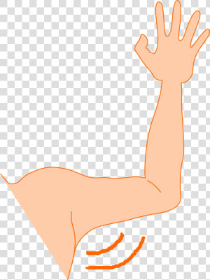 Transparent Strong Arm Png   Armpit Clipart  Png Download