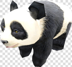 Zoo Tycoon Giant Panda Png  Transparent Png