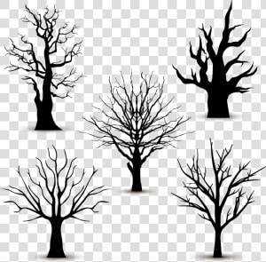 Tree Silhouette Euclidean Vector   Leafless Tree Vector  HD Png Download