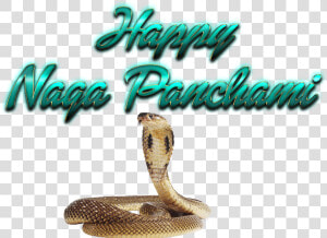 Naga Panchami Transparent Png   Png Nagula Chavithi Items  Png Download