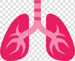 Lung Png   Lungs Emoji Png  Transparent Png