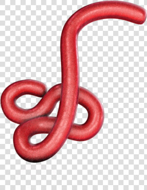 Transparent Gucci Snake Png   Ebola Virus Png  Png Download