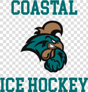 Coastal Carolina University  HD Png Download