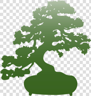 Bonsai Logotipos Karate Kid  HD Png Download