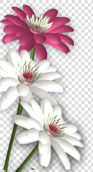 Massages Clipart Abstract Flower   Photoshop Flower Background Png  Transparent Png