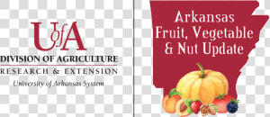 Arkansas Fruit Vegetable Nuts Update   University Of Arkansas Division  HD Png Download