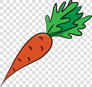 Carrots  Carrot  Vegetables  Healthy  Food  Bio  Fresh   Sketsa Gambar Wortel  HD Png Download