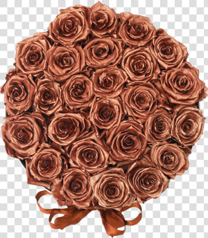 Rose Gold Class Lazyload Lazyload Fade In Cloudzoom   Garden Roses  HD Png Download