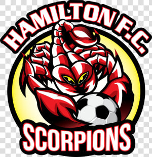 Hamilton Scorpions  HD Png Download