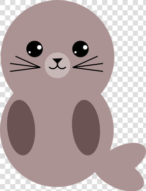 Seal  Mammal  Animal  Nature  Wildlife  Cute  Eyes   Cute Seal Png  Transparent Png